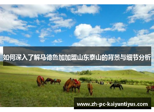 如何深入了解马德鲁加加盟山东泰山的背景与细节分析