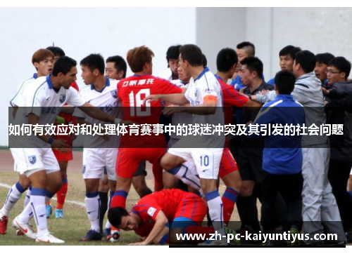 如何有效应对和处理体育赛事中的球迷冲突及其引发的社会问题