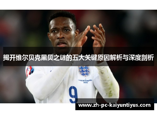 揭开维尔贝克黑贝之谜的五大关键原因解析与深度剖析