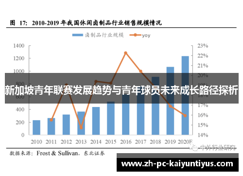 新加坡青年联赛发展趋势与青年球员未来成长路径探析