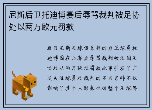 尼斯后卫托迪博赛后辱骂裁判被足协处以两万欧元罚款